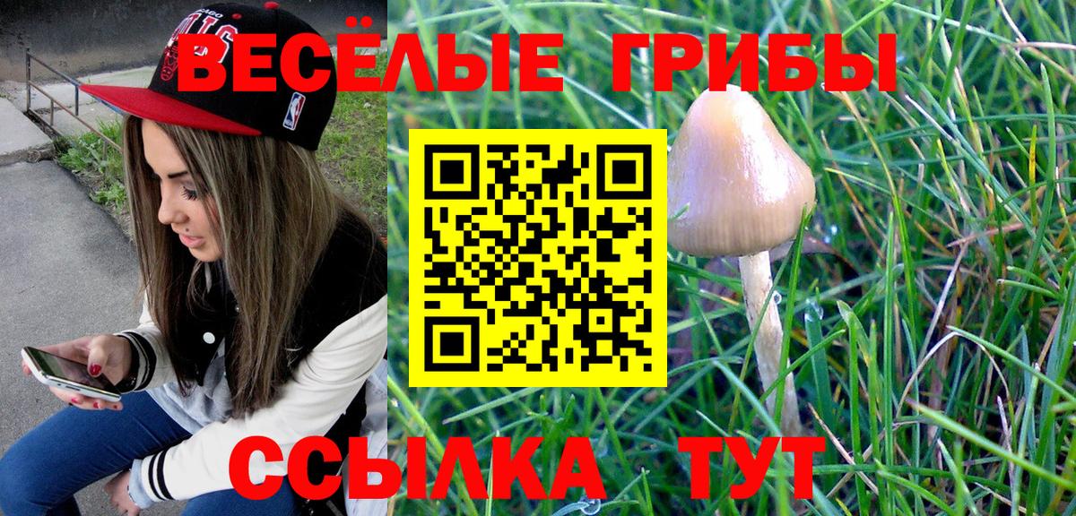 Галлюциногенные грибы Magic Shrooms Удомля