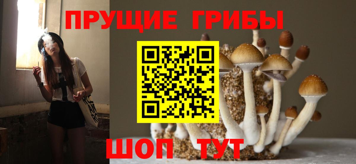 Галлюциногенные грибы мицелий  Галлюциногенные грибы GOLDEN TEACHER  Вход с VPN  Удомля 